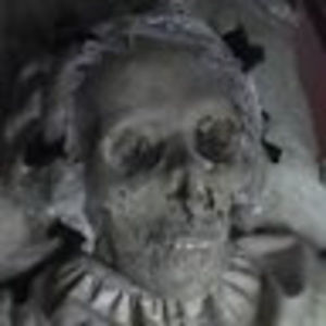 Meet your Posher, Moli